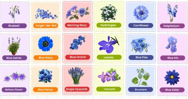 Flower Names in English