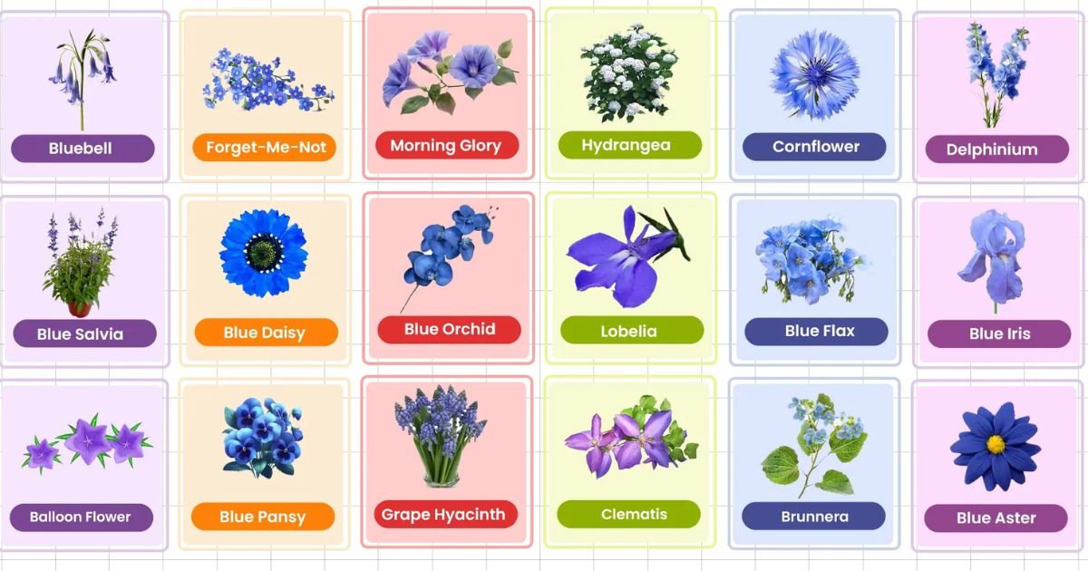Flower Names in English